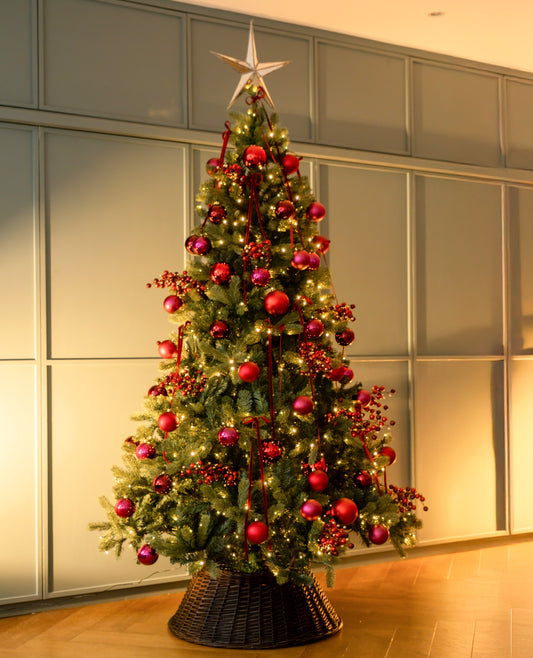 Christmas in a Box - Berry Red